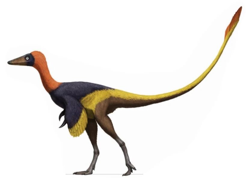 Меловой «диномуравьед» выглядел так.