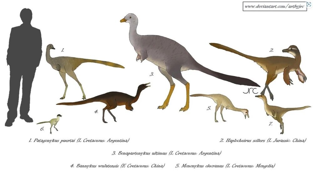 Представители клады альваресзаврид.