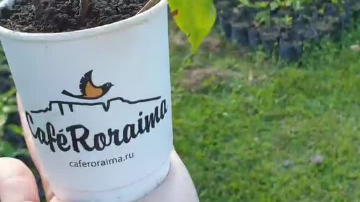 дальше будет еще интереснее. дальше будет еще интереснее. дальше будет еще интереснее. новый этап в жизни. простите меня трудный ребенок.