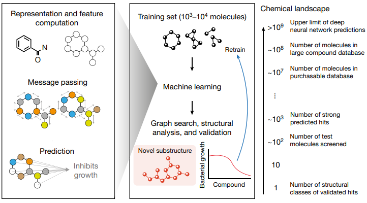 Зельман ваксман стрептомицин. Открытие антибиотиков ваксман. История открытия антибиотиков кратко. Кем был открыт стрептомицин и предложен. 1946.