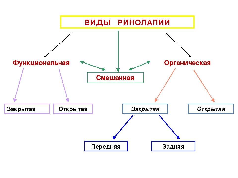 Логопедические занятия при ринолалии у детей | Дефектология Проф