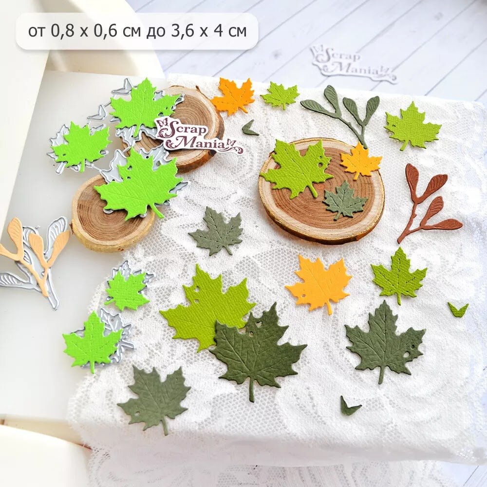 Программа для макета фотоальбома бесплатно. Креативное оформление альбома. Какой альбом создать. Фотокнига своими руками программа. Общий альбом на компьютере.