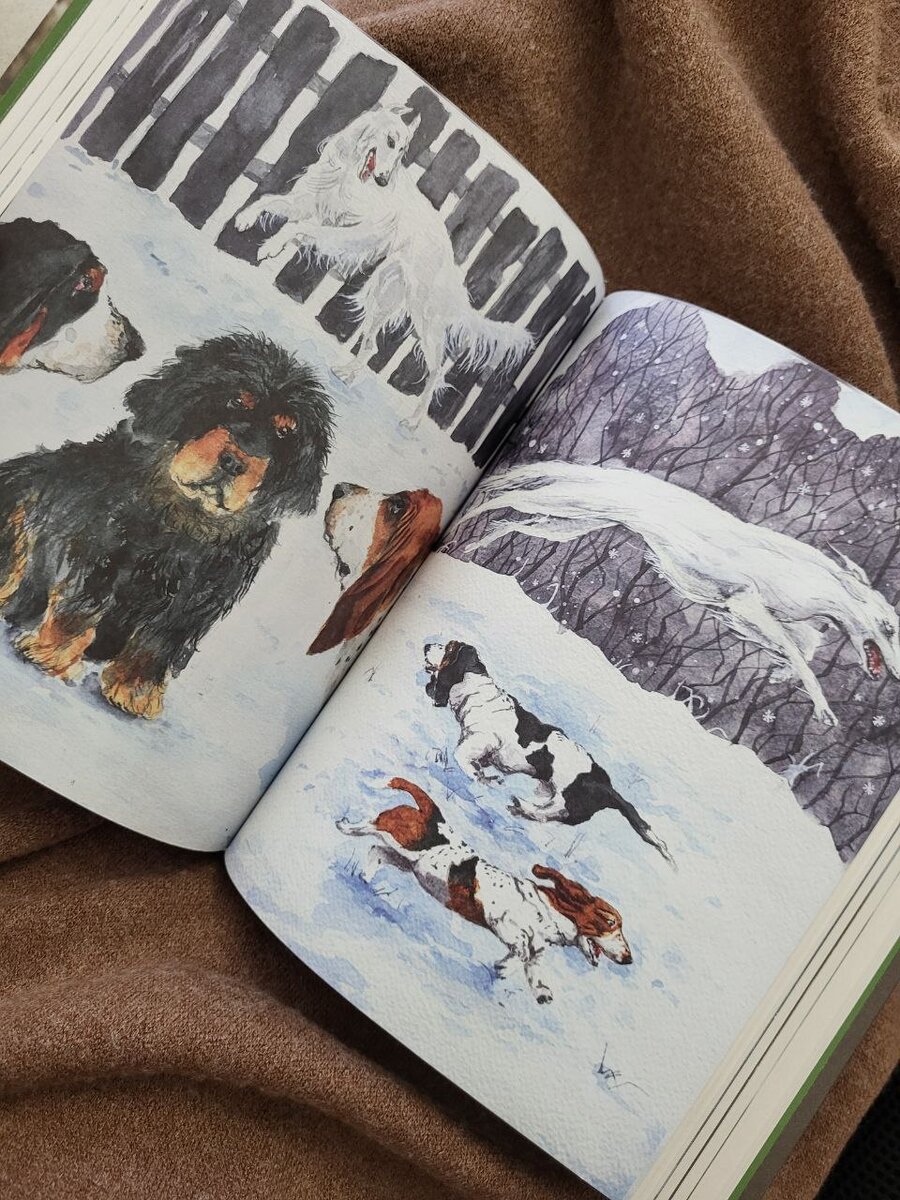 Самый популярный писатель информации. Опрос про книги и чтение. Человек читающий. Польза от чтения книг. Почему надо читать книги.