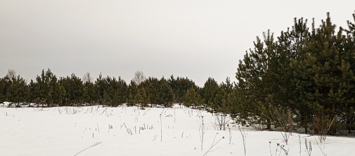 яндекс еда. работа рядом с домой. работа рядом с домом. работа рядом. часы с кукушкой рисунок.