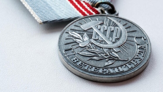    Какие льготы и выплаты положены ветеранам труда Алина Городниченко