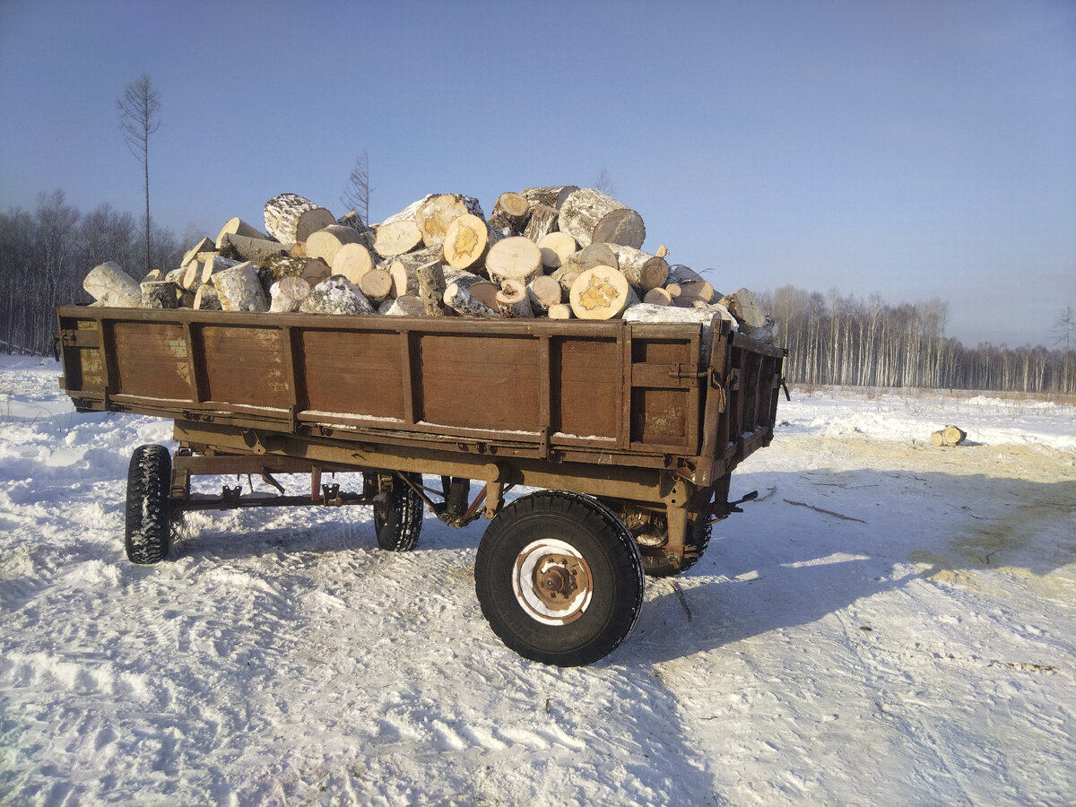 Сбор валежника в лесу. Сбор валежника в лесу. Заготовка дров в лесу. Заготовка дров в лесу. Сбор валежника.