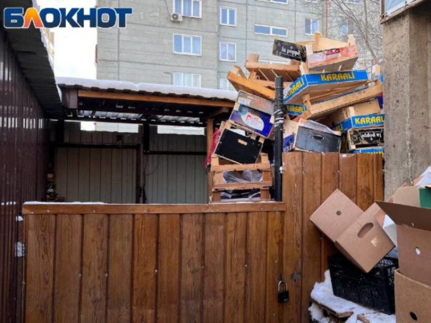 Сизо 1 форум. Сизо 1 форум