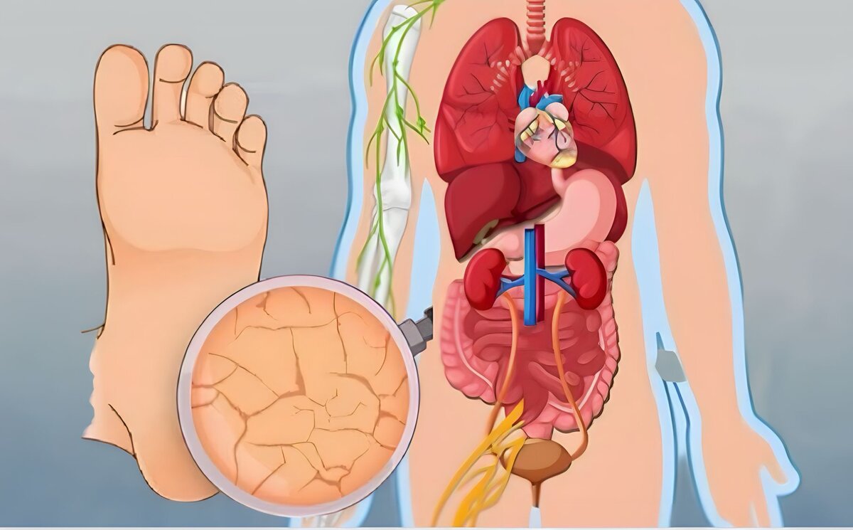 при каких заболеваниях или состояниях. судорожный синдром дифференциальный диагноз. при каких заболеваниях или состояниях. препараты выбора для базисной терапии хобл средней степени тяжести. оказание медицинской помощи в экстренной форме.