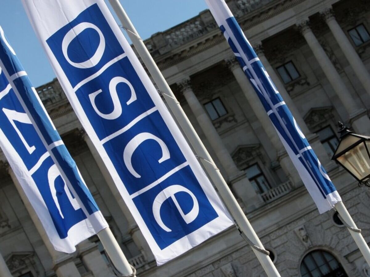    Флаги с логотипом ОБСЕ в Вене© Фото : OSCE/Mikhail Evstafiev