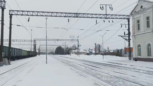 Поездка в ветклинику с Матильдой, Малюткой и Бонифацием