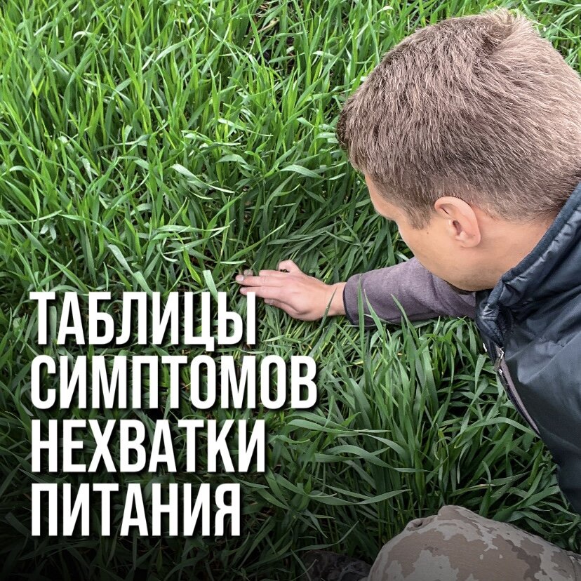 [Леонид Чурилов] [UniProf] Незаменимые факторы питания (2023) - 59 ...