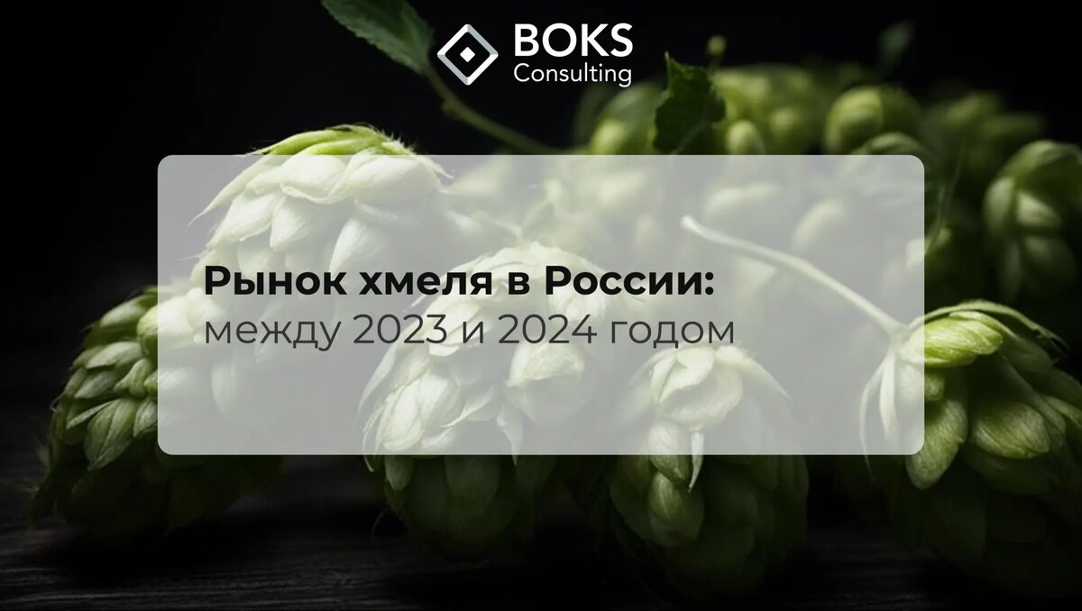 Анализ рынка Хмеля 2024