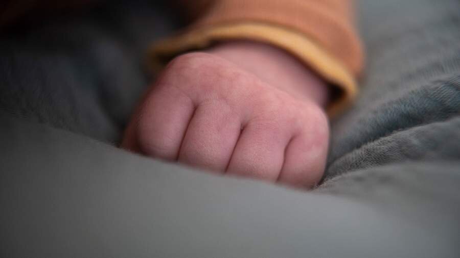 Фото: ТАСС/ Sebastian Gollnow