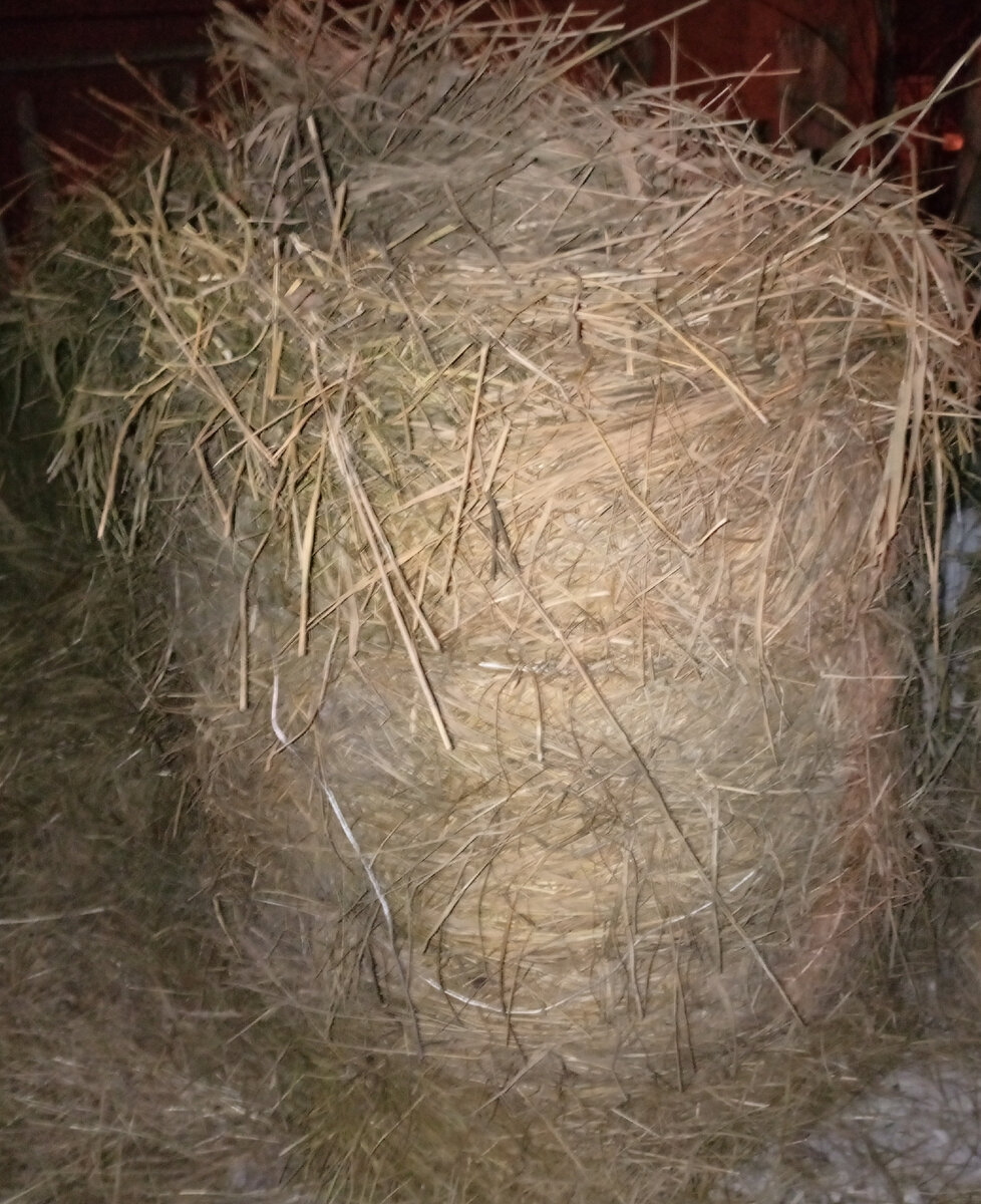 Почему хочется писать но не получается. Как заставить ребенка пописать для анализов. Когда очень хочется. Почему хочется писать но не получается. Почему хочется писать но не получается.