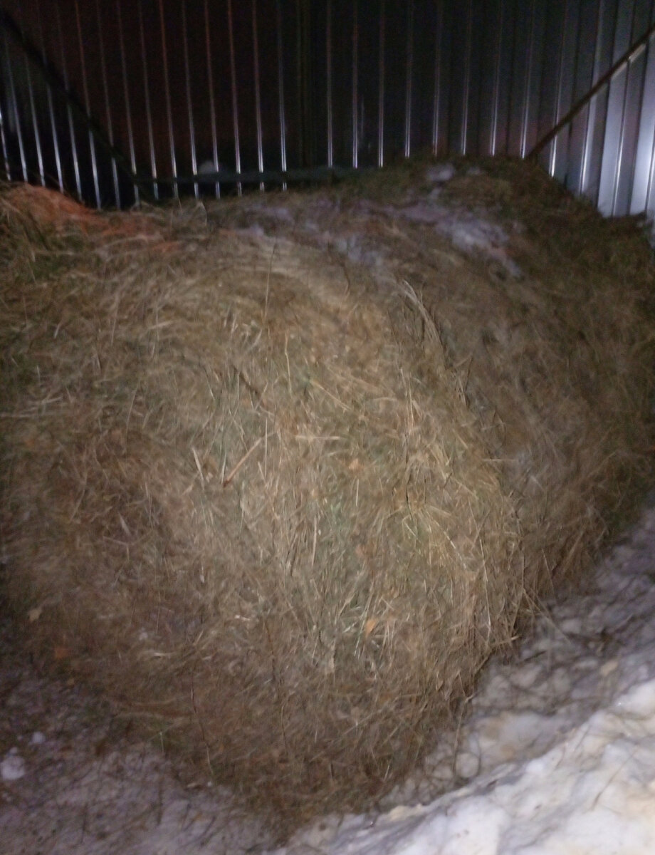 Фото автора канала с целью иллюстрации.