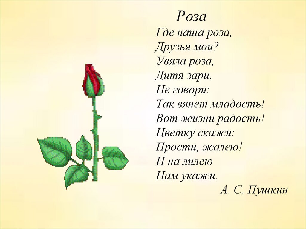 Цветок детские стихи. Стихотворение про розу. Стих цветок Пушкин. Детский стих про розу.