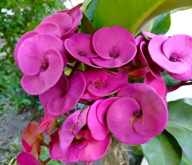 Фото из открытых источников\