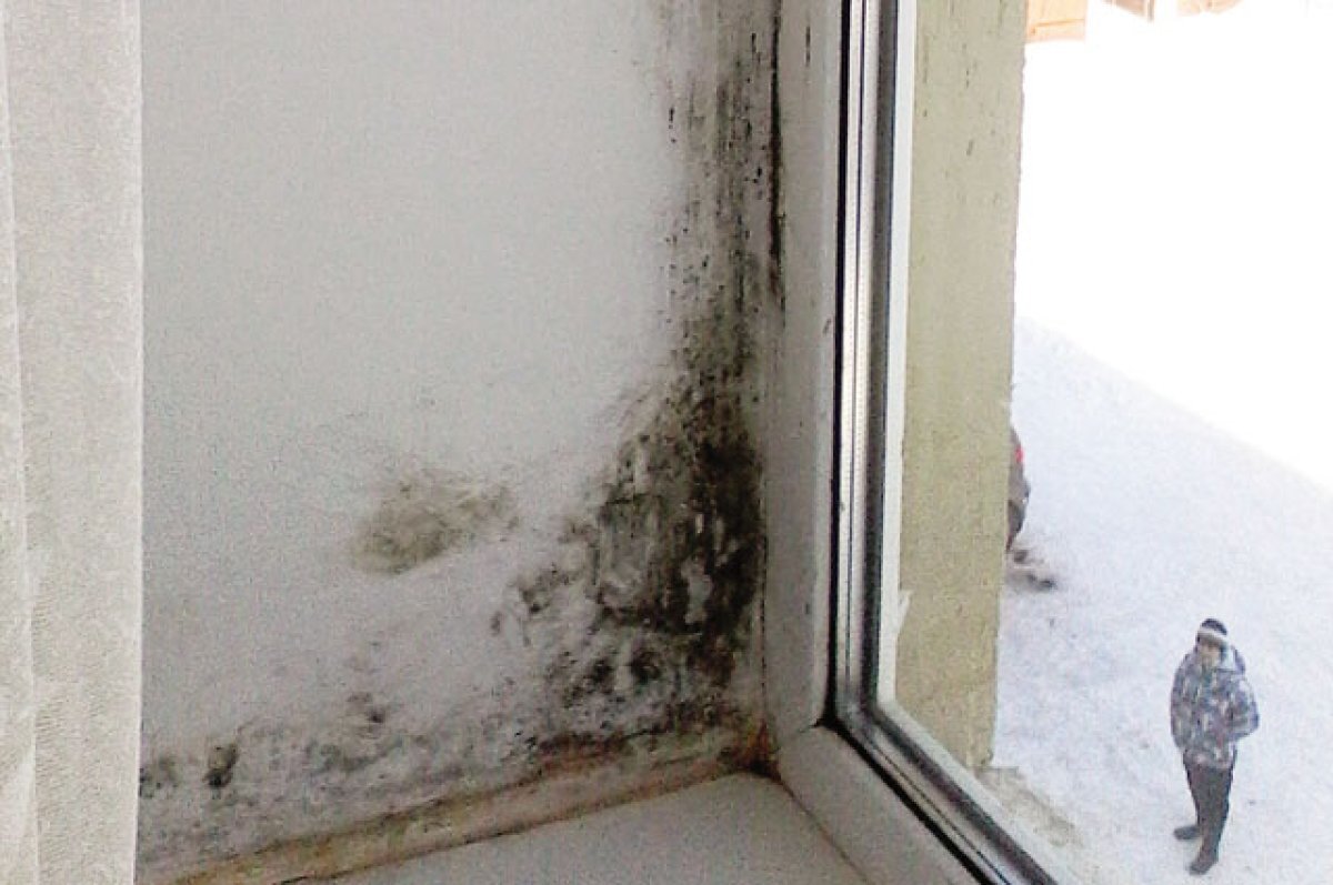    Эксперт Меньшиков опроверг пользу перекиси водорода в борьбе с плесенью