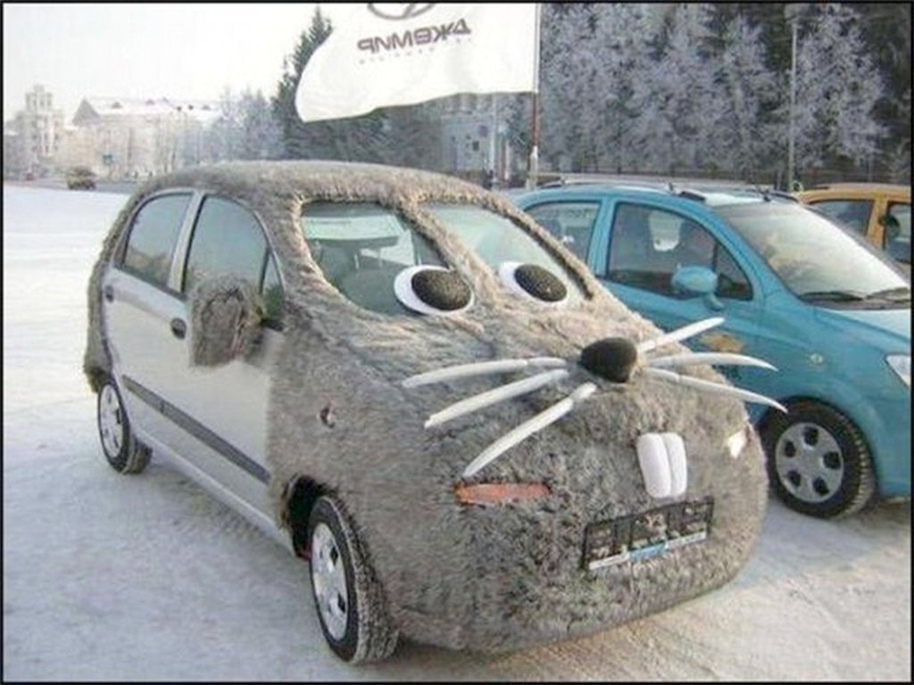 Необычные норма на авто