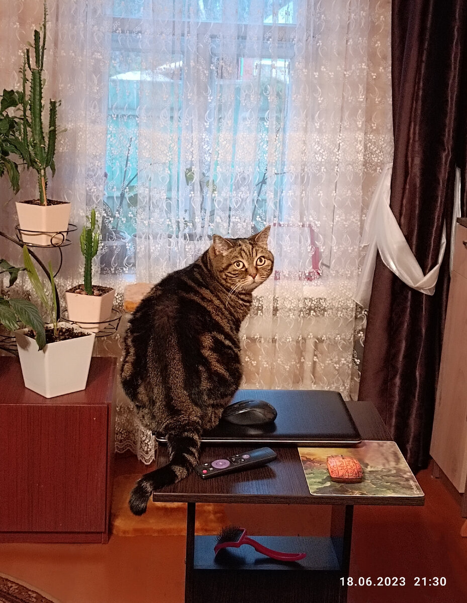 За секунду до "пенделя"