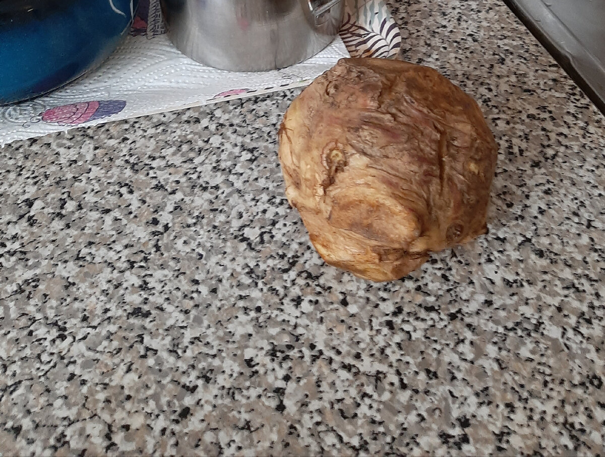 Сельдерей Егор.