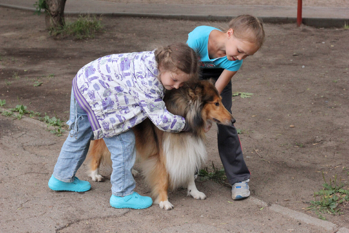 Очень наглядное фото: дети обнимают собаку, они счастливы. Леда терпит, но никакого счастья не испытывает от того, что её обнимают чужие дети. 