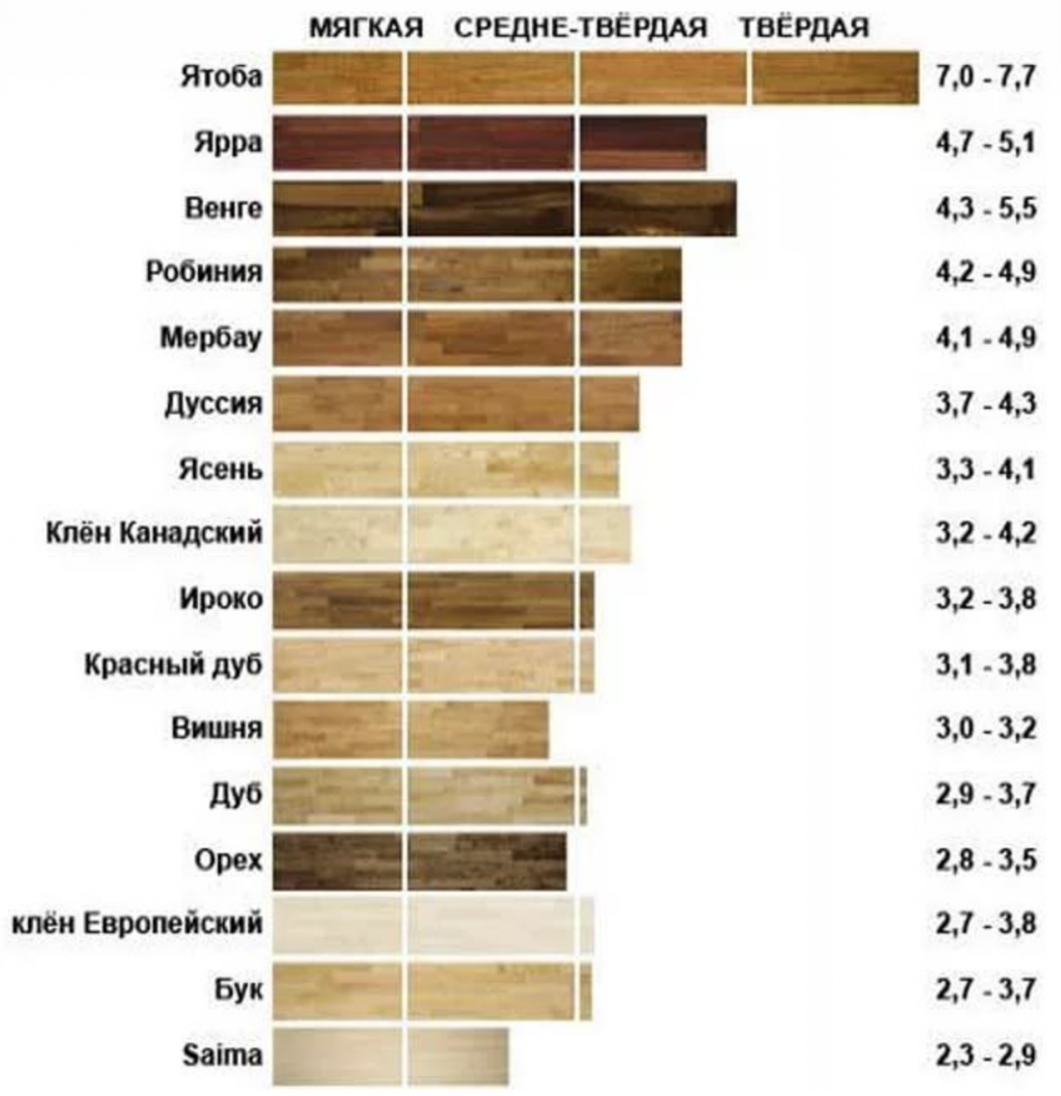 Какова плотность древесины. Таблица пород древесины степень твердости. Таблица плотности древесных пород. Плотность и твердость древесины таблица. Плотность древесных пород.