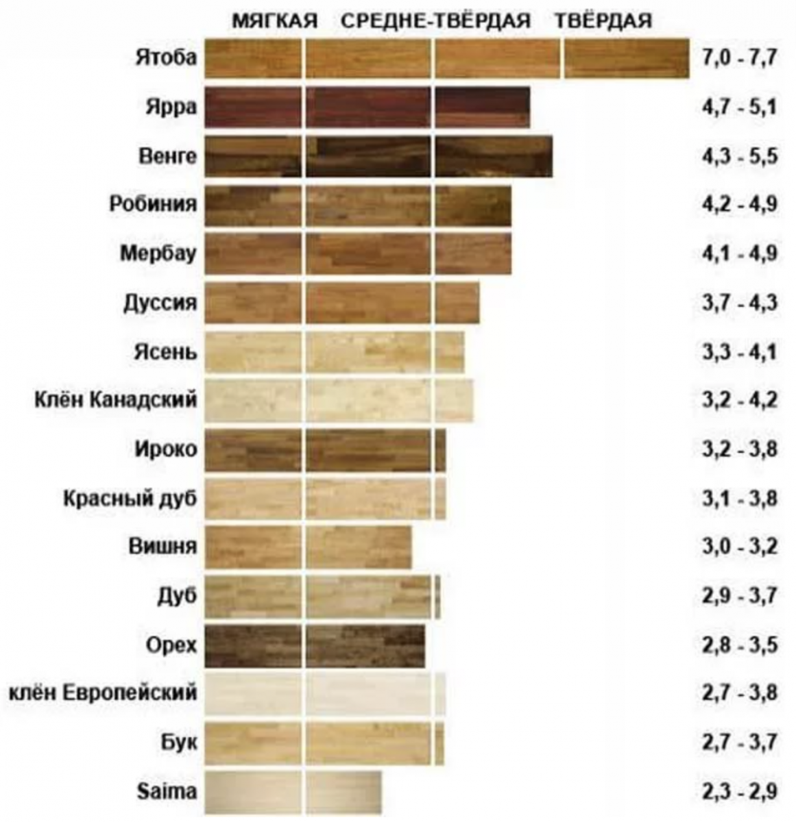 Плотность бамбука. Таблица пород древесины степень твердости. Таблица плотности древесных пород. Плотность древесных пород. Твёрдость древесины таблица пород дерева.