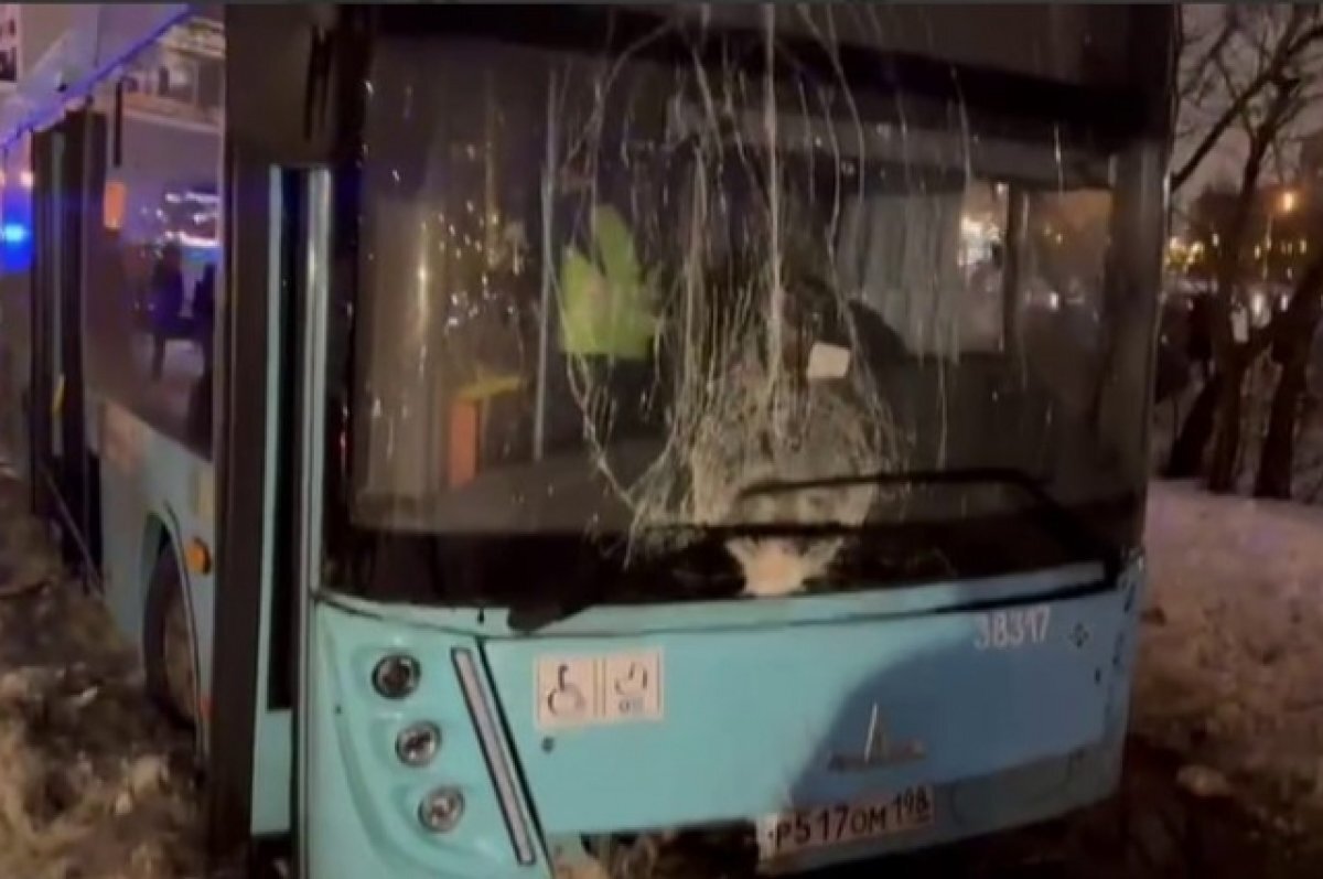    Состояние водителя могло стать причиной ДТП с автобусом в Петербурге