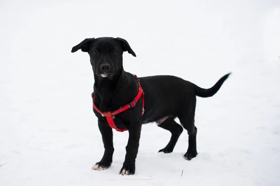 Вот такой был подросток