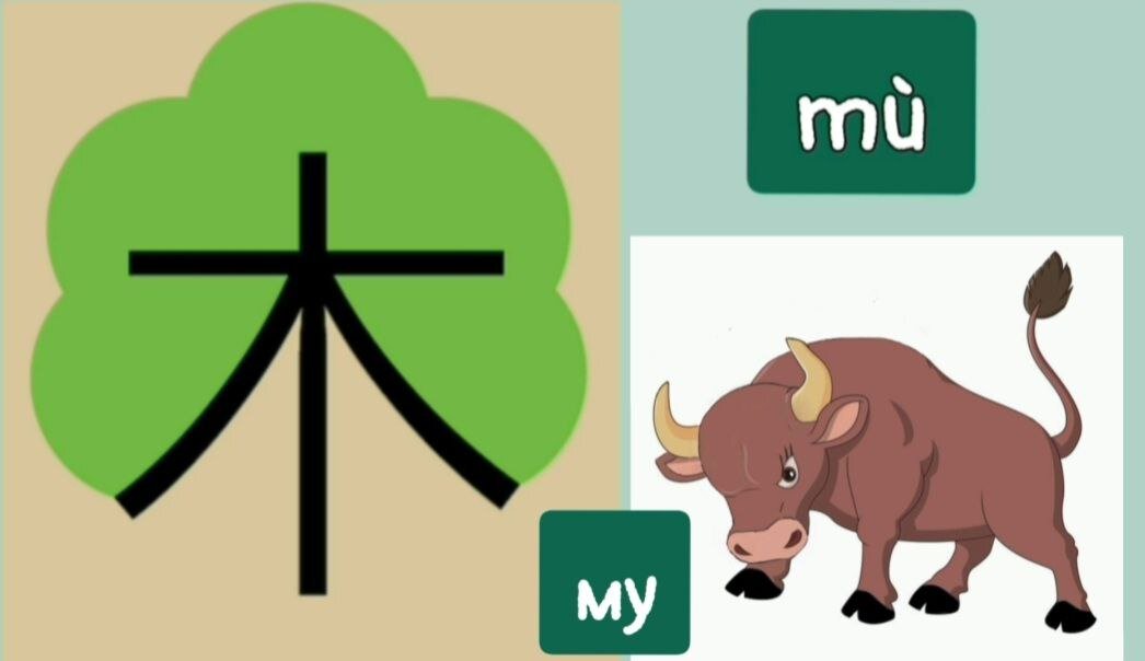 китайский язык учить. кандзи дерево японский. китайский иероглиф wan. происхождение иероглифов. китайские иероглифы.