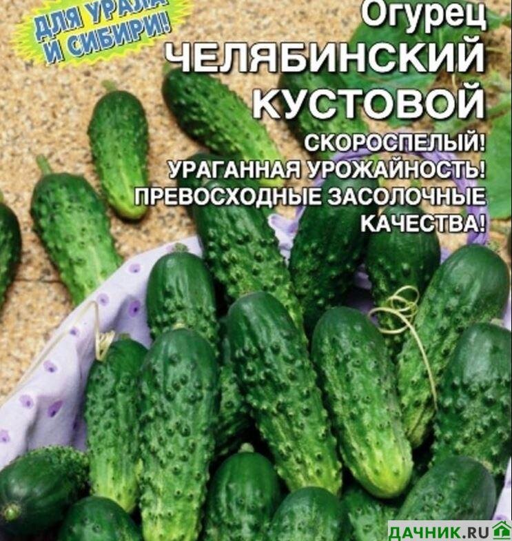 Кустовых огурцов