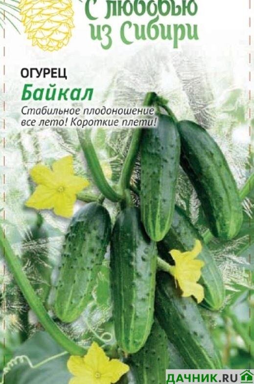 Огурец бидретта f1. Огурец каскад f1. Сорт огурцов самоопыляющиеся ранние для открытого грунта. Огурец партенокарпический маринда f1. Огурец боцман f1.