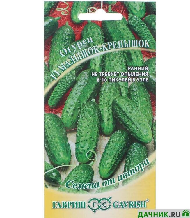 огурец форсаж f1. вырастить огурцы раньше. вырастить огурцы раньше. огурец трюкач в теплице. огурцы растут на грядке.