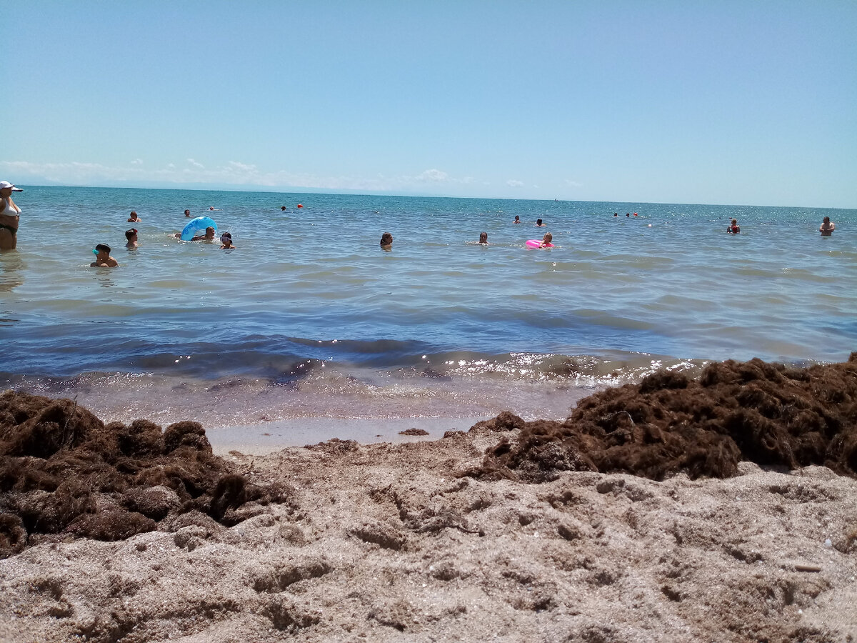 Шелл бич австралия. Анапа песчаный пляж. Галечные пляжи кипра. Берег моря. Морское какой пляж.