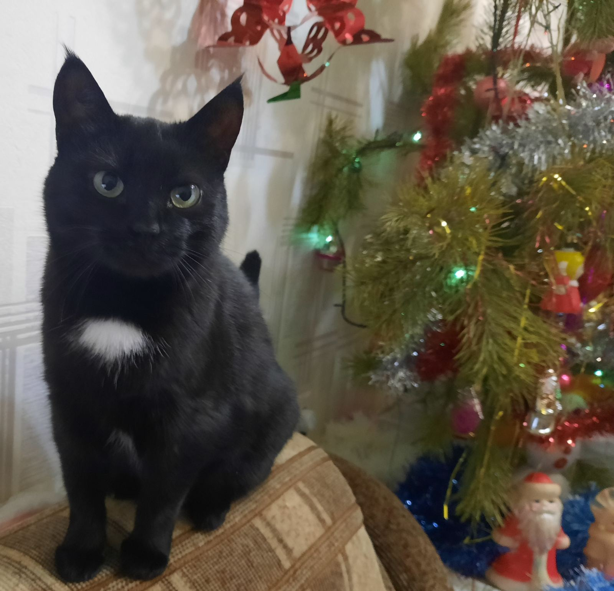 детские стихи про магазин. детские стихи про магазин. стишки про игры. хочу играть стих. хочу играть стих.