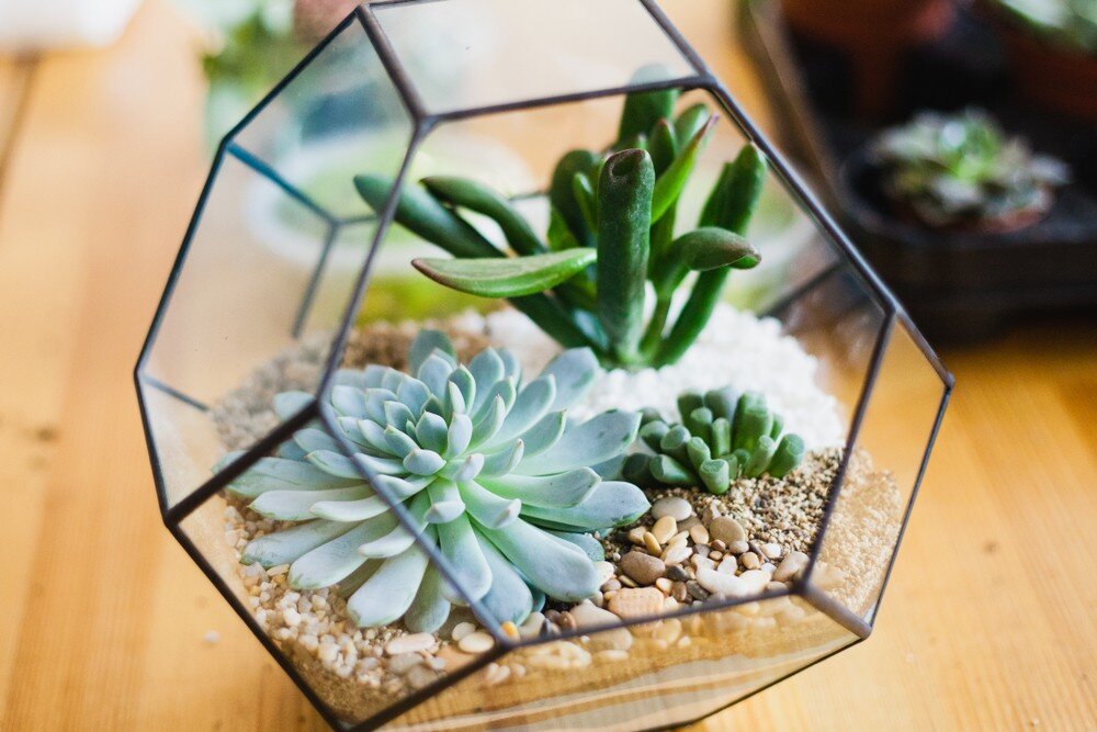    ShutterStock/Fotodom.ru