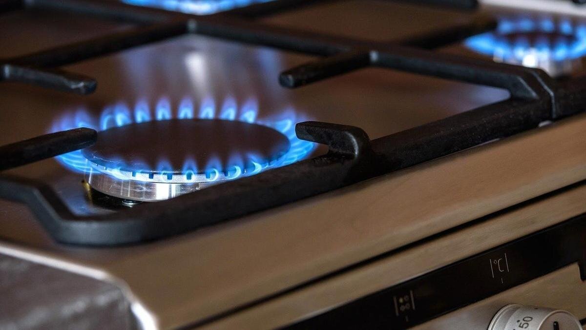 Электрический котел 2квт для системы отопления с регулятором. Газовый котел балонный газ. Освидетельствование модулей газового пожаротушения. Как сделать газовую систему. Газовый котел балонный газ.