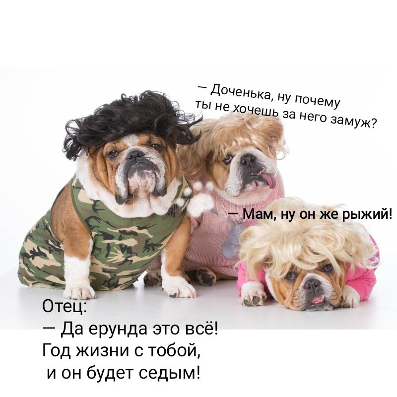 Фото из интернета в обработке автора. 