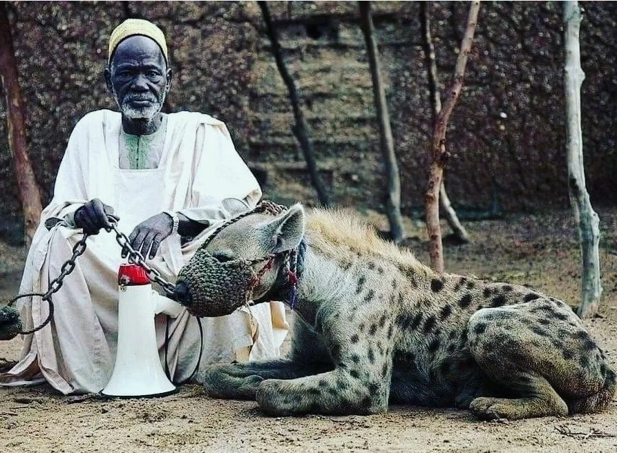 Африка тем и притягательна для российских, американских и европейских путешественников, что является настоящей экзотикой, в сравнении с тем, что они привыкли видеть дома.-3