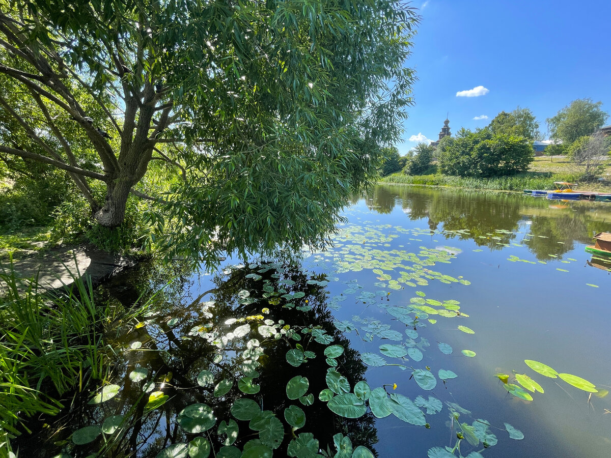 Реки с севера на юг. Влияние рельефа на течение рек. Водные богатства нашего края красноярского края. Водные богатства красноярского края 2. Река которая течет с севера на юг в россии.
