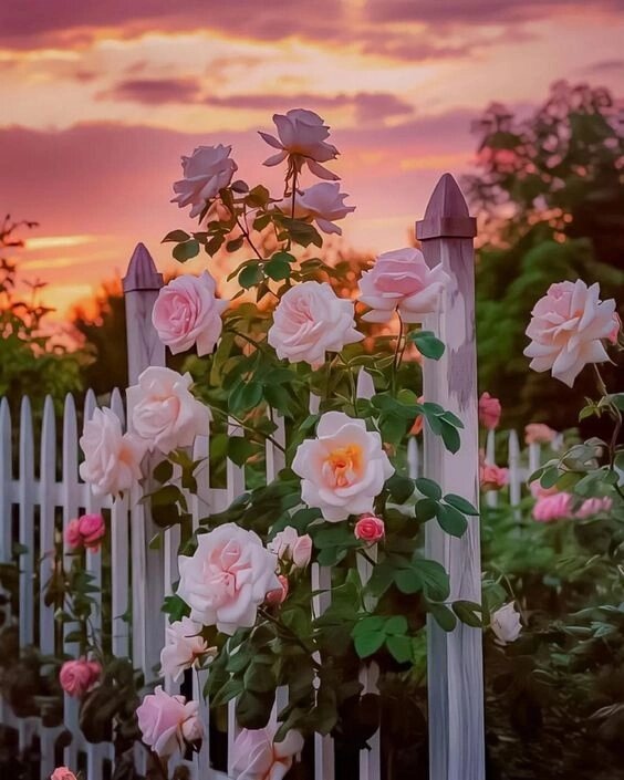 Иллюстрация из интернета