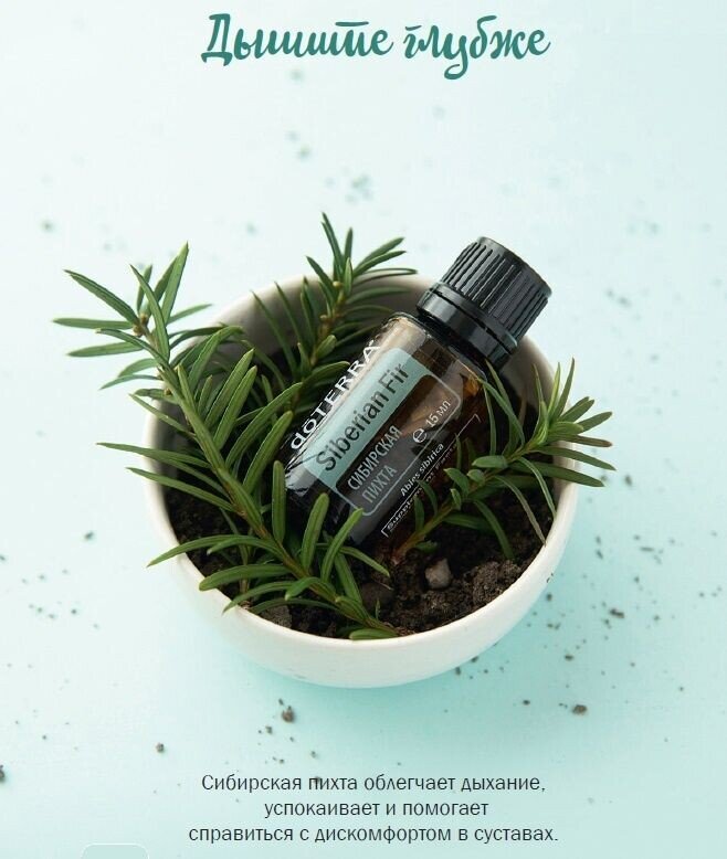 Набор масел для бани и сауны. Набор масел для бани. Набор масел для бани и сауны. Эфирное масло можно ли в баню. Эфирное масло можно ли в баню.