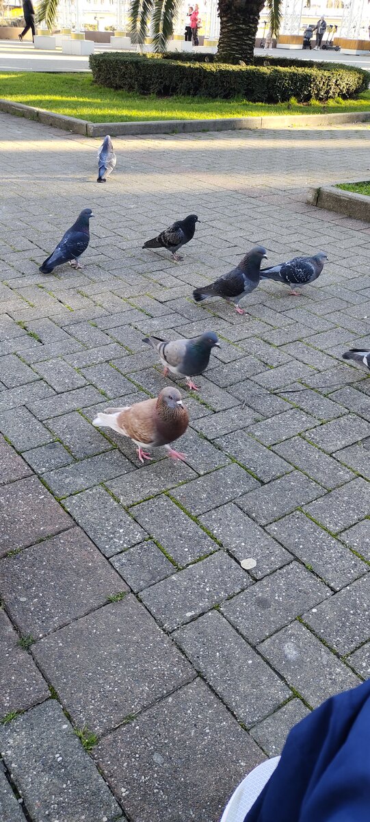 Красивые надписи для девушки. Злая от того что знаю у тебя. Злобные статусы. Девушка без любви. Зая я тебя хочу.