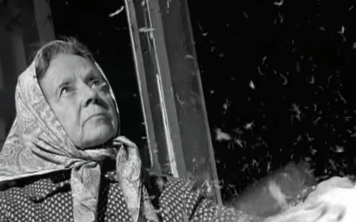 Если бог. Стая обезьян. Много глупых людей. Цитаты про людей которые думают что они умнее всех. Афоризмы про дураков и умных.