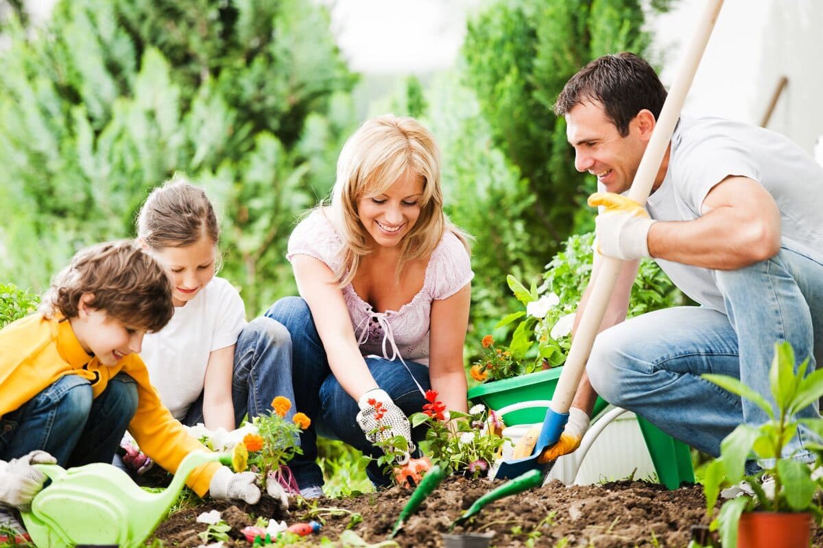 Общество не заботиться. Семья на огороде. Семья в саду. Семья на даче на огороде. Совместный труд в семье.