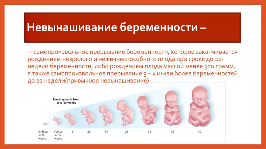 К чему снится беременность и выкидыш