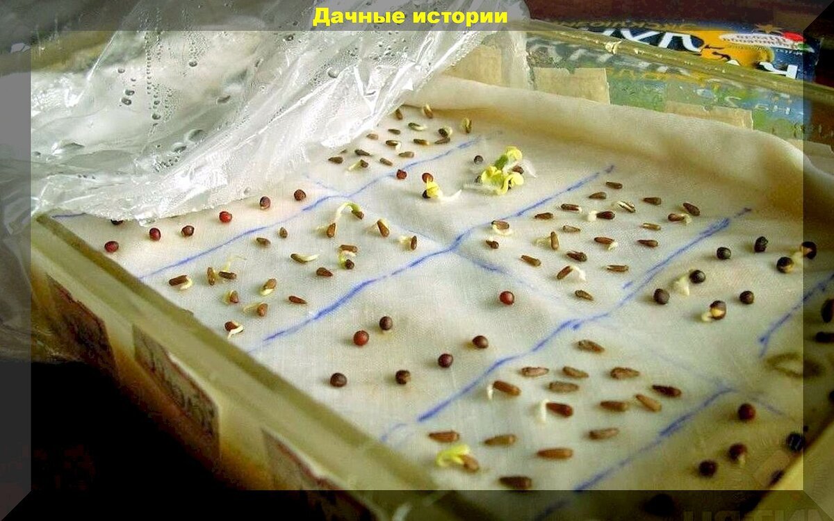 Подробнее ответим на данный вопрос. Подробнее ответим на данный вопрос
