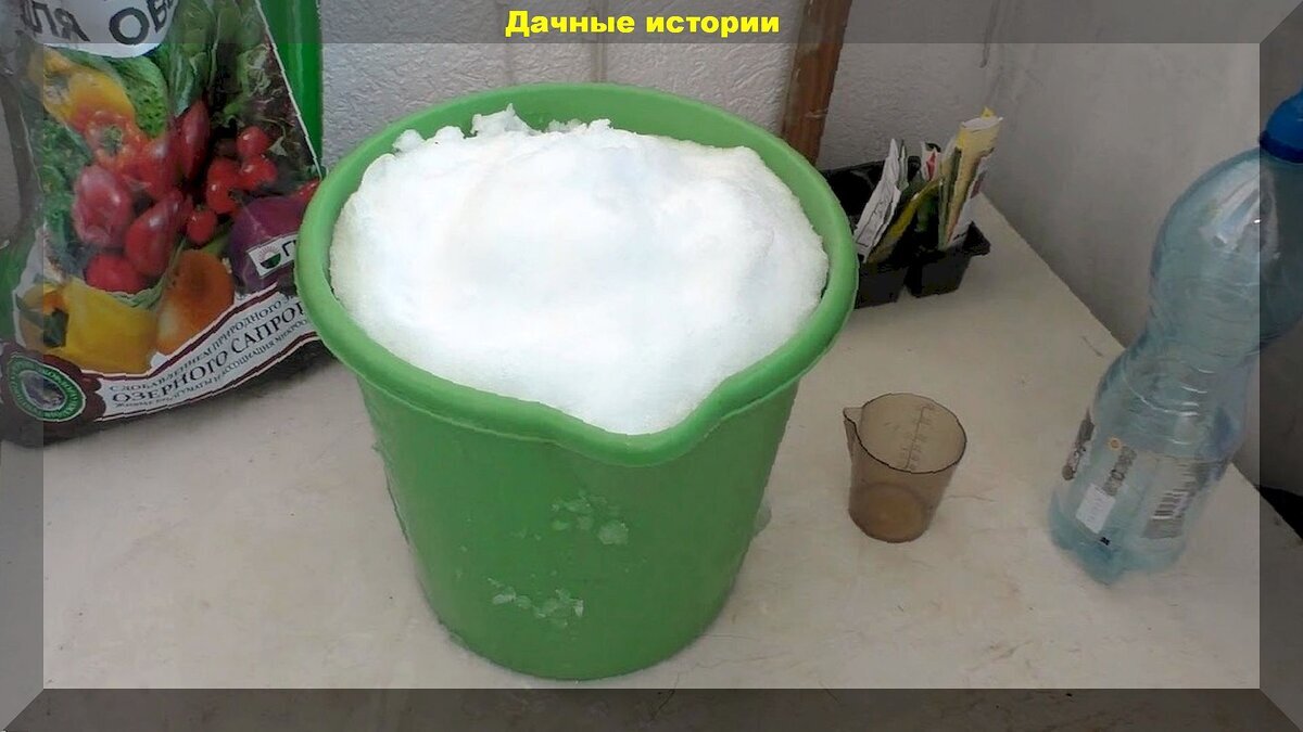 20 вопросов о рассаде и очень подробные на них ответы: подробно разбираем  вопросы начинающих дачников о рассаде и посеве семен | Дачные истории | Дзен