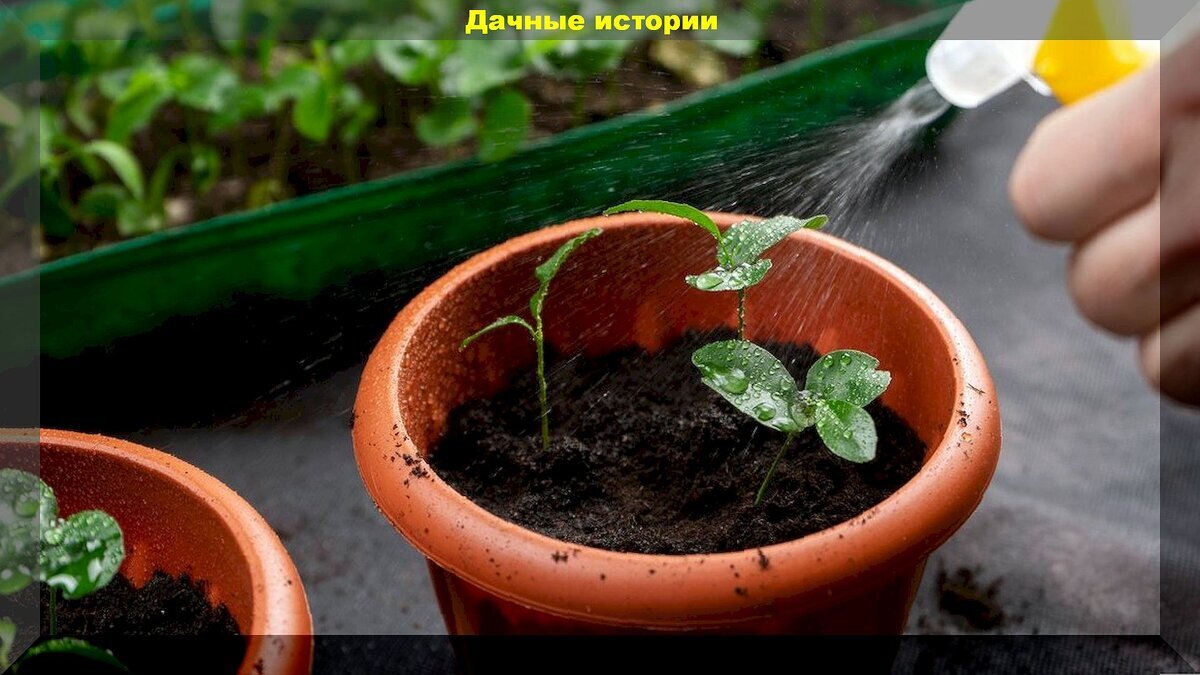 Подробно ответим на эти вопросы. Подробно ответим на эти вопросы